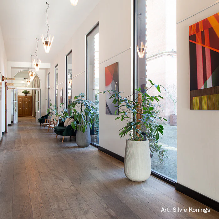 Productafbeelding 11