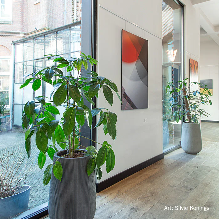 Productafbeelding 12