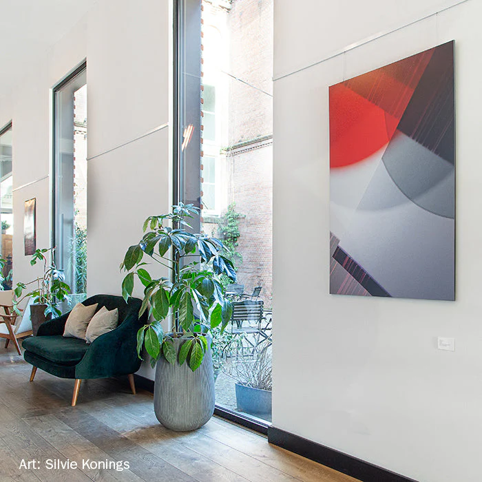 Productafbeelding 13