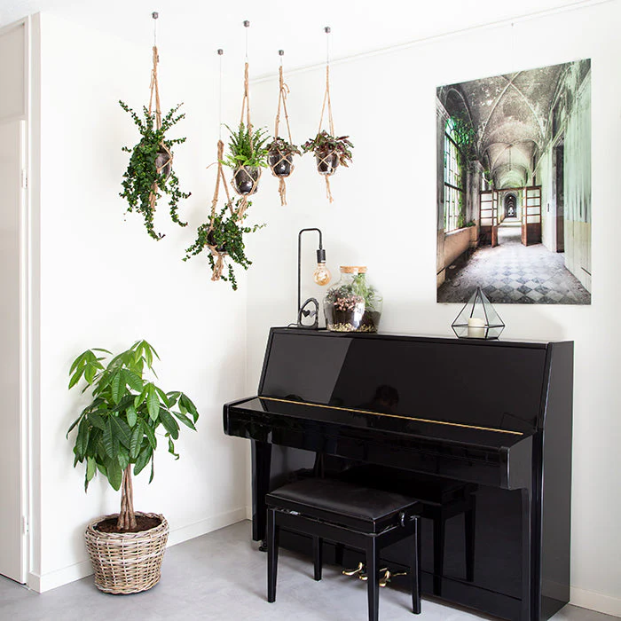 Productafbeelding 10