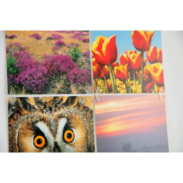 Productafbeelding 14